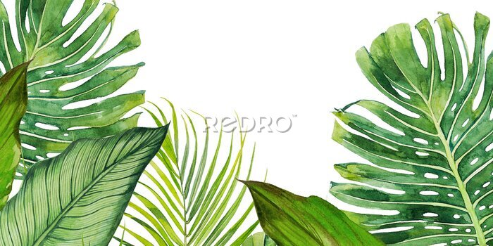 Sticker  Grandes feuilles de plantes tropicales