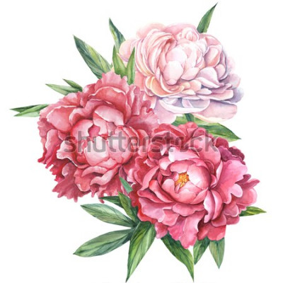 Sticker  Grandes fleurs à trois boutons