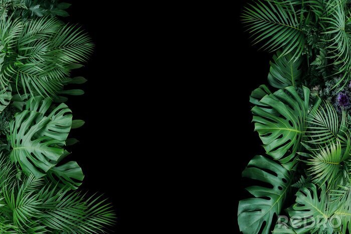 Sticker  Grandes plantes sur fond noir