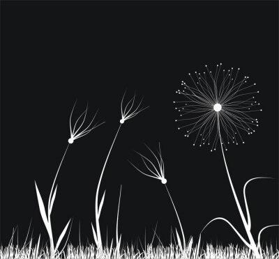 Sticker  Graphique avec des fleurs blanches sur fond noir