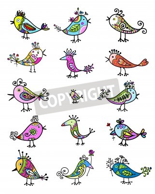 Sticker  Graphiques décoratifs d'oiseaux arc-en-ciel de différentes formes