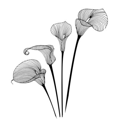 Graphiques minimalistes en noir et blanc avec des fleurs
