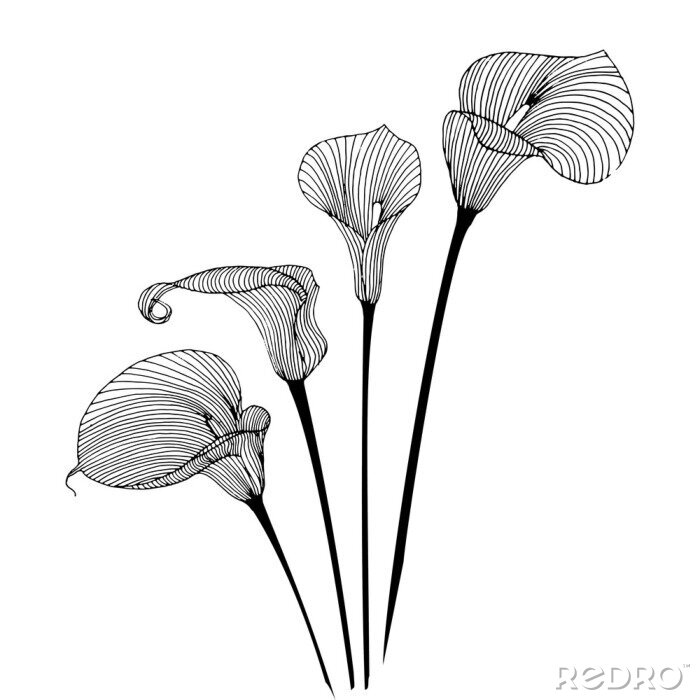 Sticker  Graphiques minimalistes en noir et blanc avec des fleurs