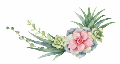 Sticker  Graphiques pastel avec une plante