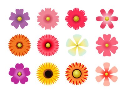 Sticker  Graphiques simples de fleurs de différentes nuances
