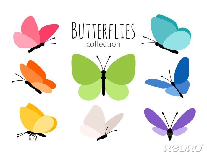 Sticker  Graphiques simples de papillons aux ailes colorées