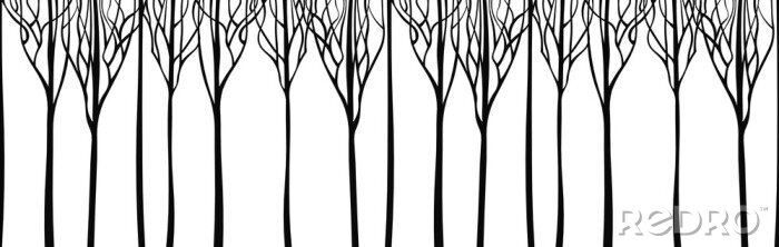 Sticker  Graphismes minimalistes avec des arbres sans feuilles
