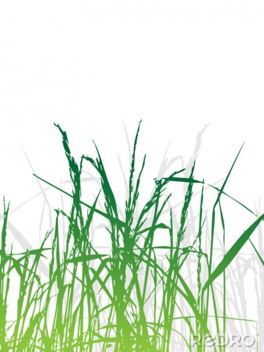 Sticker  Grass silhouette vert, de fond en été