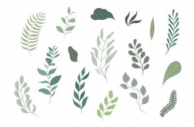 Sticker  green leaf vector set, flat design