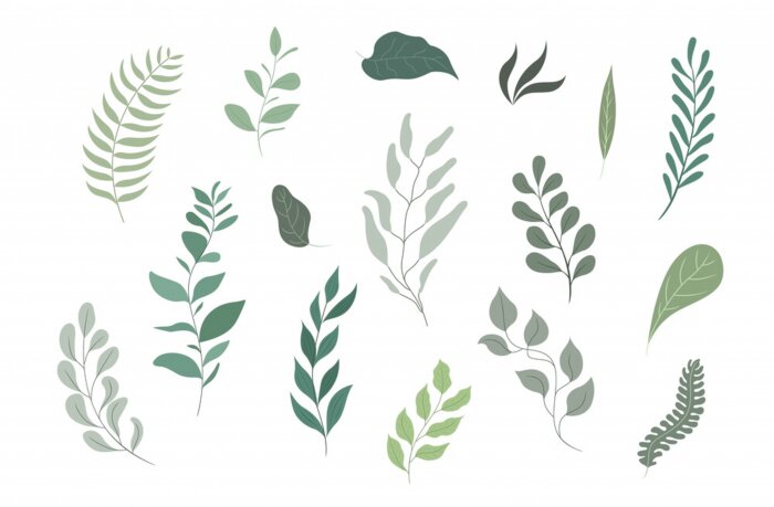 Sticker  green leaf vector set, flat design