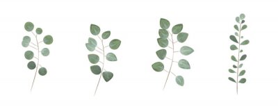 Sticker  green leaves in the style of watercolor