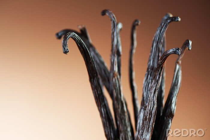 Sticker  Gros plan sur de la vanille