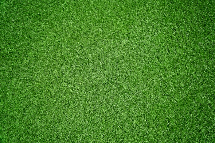 Sticker  Gros plan sur le gazon