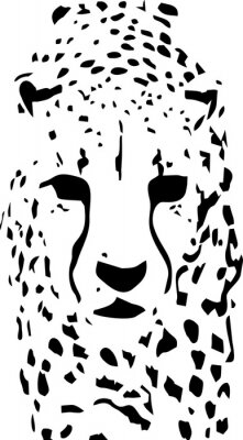Sticker  Guépard noir et blanc