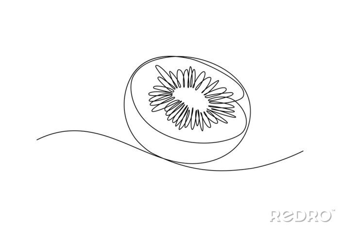 Sticker  Half of kiwi fruit in continuous line art drawing style. Black line sketch on white background. Vector illustration