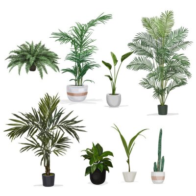 Sticker  Hand drawn vector room plant