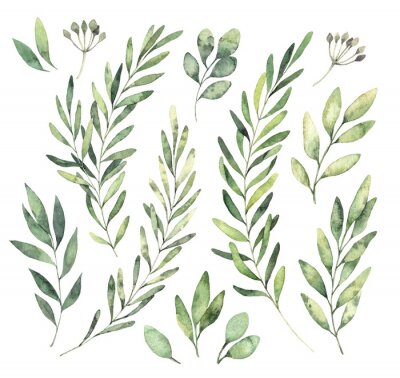 Sticker  Hand drawn watercolor illustrations. Botanical clipart. Set of Green leaves, herbs and branches. Floral Design elements. Perfect for wedding invitations, greeting cards, blogs, posters and more