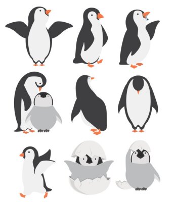 Sticker  Happy penguin and chicks characters in different poses set