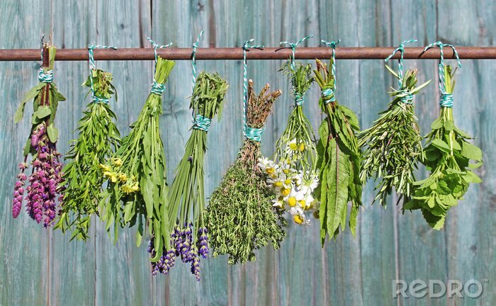 Sticker  Herbes aromatiques fraîches sur des planches blanches rustiques