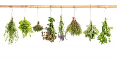 Sticker  Herbes aromatiques sur une poutre en bois