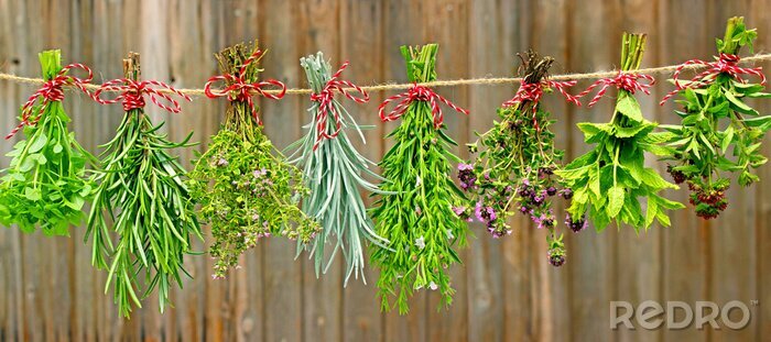 Sticker  Herbes naturelles sur planches rustiques