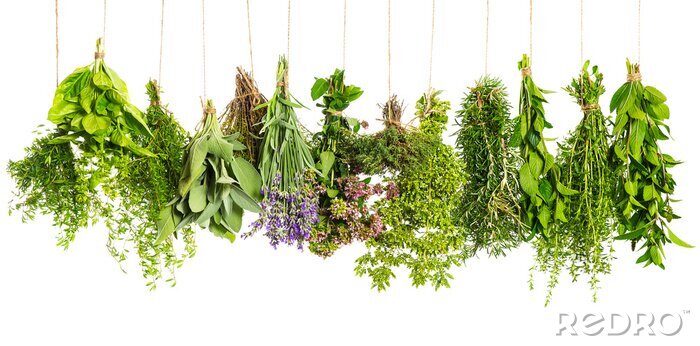 Sticker  herbes suspendu isolé sur fond blanc. ingrédients alimentaires