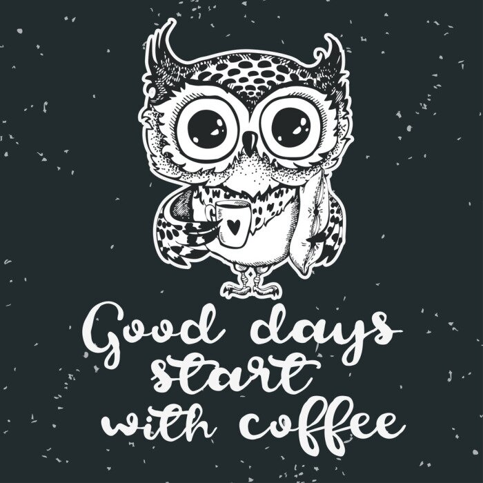 Sticker  Hibou avec une inscription sur le café