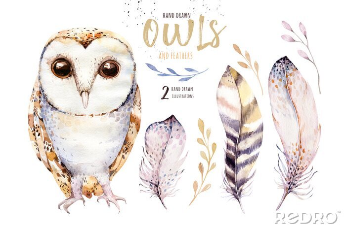Sticker  Hibou et plumes délicates