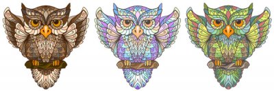 Sticker  Hibou marron, violet et vert