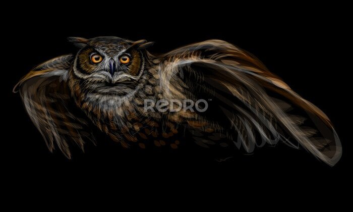 Sticker  Hibou moyen-duc en vol sur un fond noir