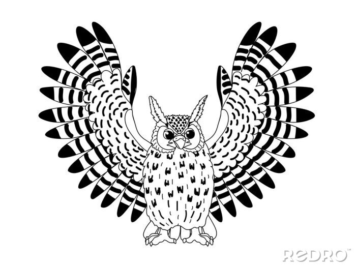 Sticker  Hibou noir et blanc aux ailes déployées