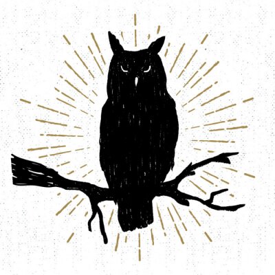 Sticker  Hibou sur une branche avec des rayons dorés