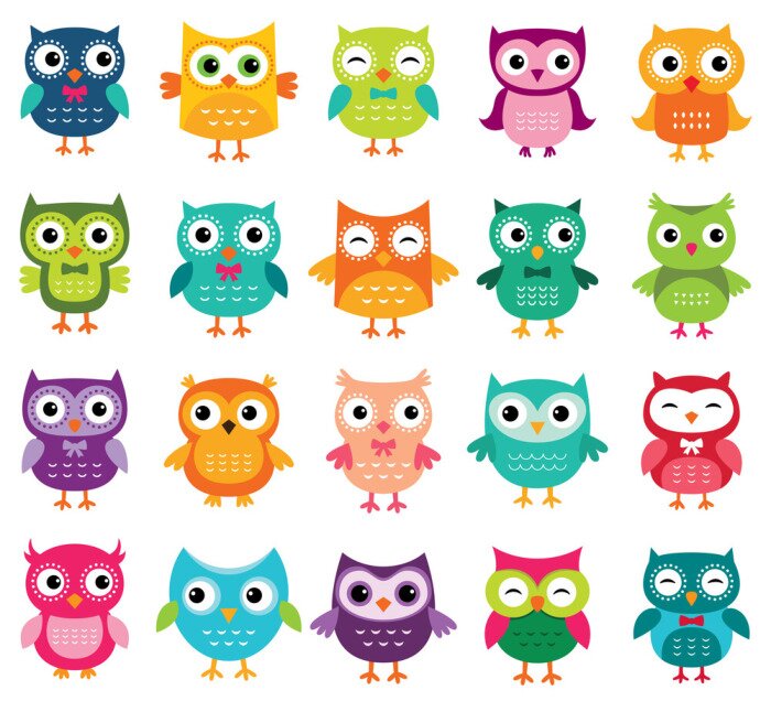 Sticker  Hiboux colorés de dessin animé