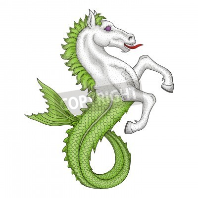 Sticker  Hippocampe abstrait