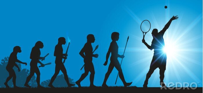 Sticker  Hommes Evolution Tennis