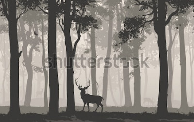 Sticker  Horizontal seamless background with deciduous forest, birds and deer. Vector illustration