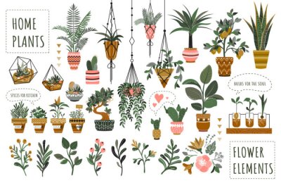 Sticker  Houseplants flowerpots isolated icons vector illustration. Decorative home plants, botanical icons and stickers. Flower pots and kitchen herbs, hanging plants, floral decorations collection.