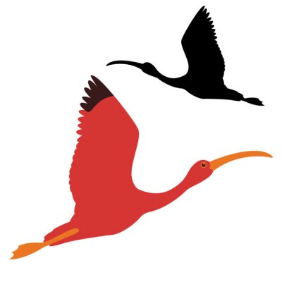 Sticker  ibis oiseau vector illustration noir silhouette profil plat