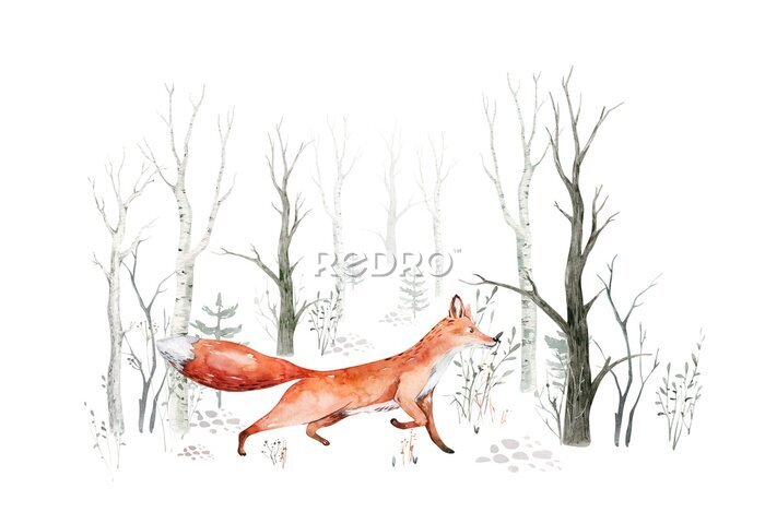 Sticker  Illustration à l'aquarelle d'un petit renard