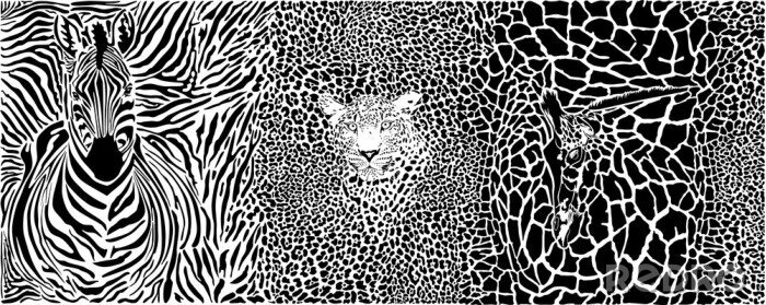 Sticker  Illustration abstraite de la girafe zébrée et de la panthère