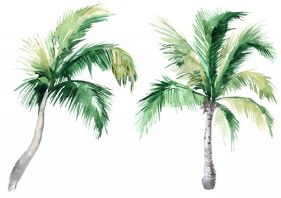 Sticker  Illustration aquarelle de deux petits palmiers