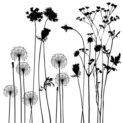 Sticker  Illustration avec différents types de fleurs
