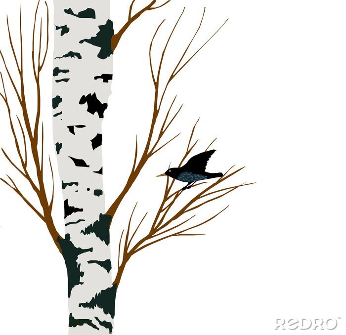Sticker  Illustration avec un étourneau sur une branche de bouleau