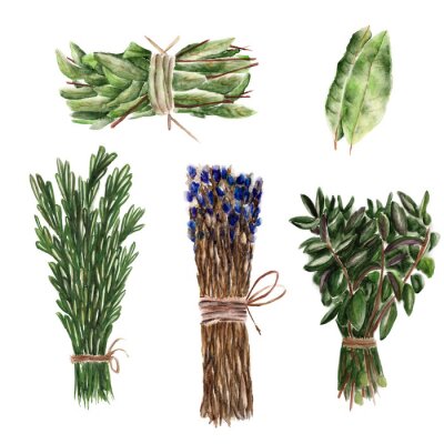 Sticker  Illustration d'aquarelle