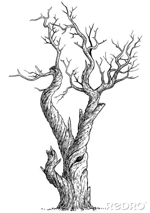 Sticker  Illustration d'un arbre mort dans un style de croquis