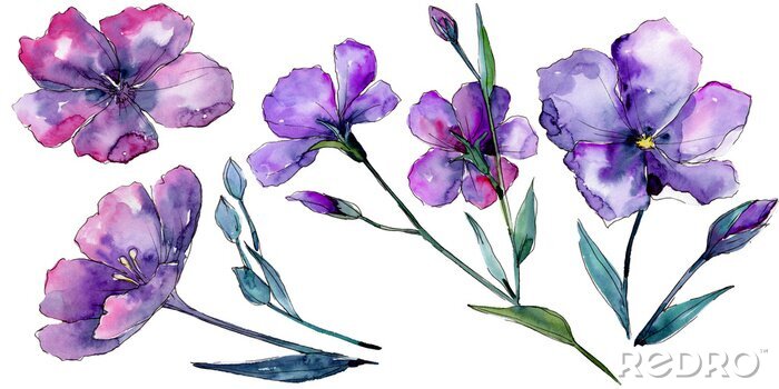 Sticker  Illustration de fleurs violettes dans l'esthétique aquarelle