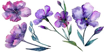 Sticker  Illustration de fleurs violettes dans l'esthétique aquarelle