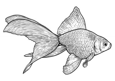 Sticker  Illustration de poisson en noir et blanc