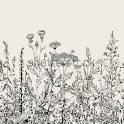Sticker  Illustration rétro de plantes et d'herbes de prairie