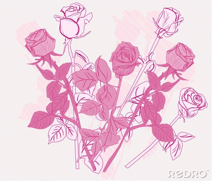 Sticker  Illustration rose avec des roses